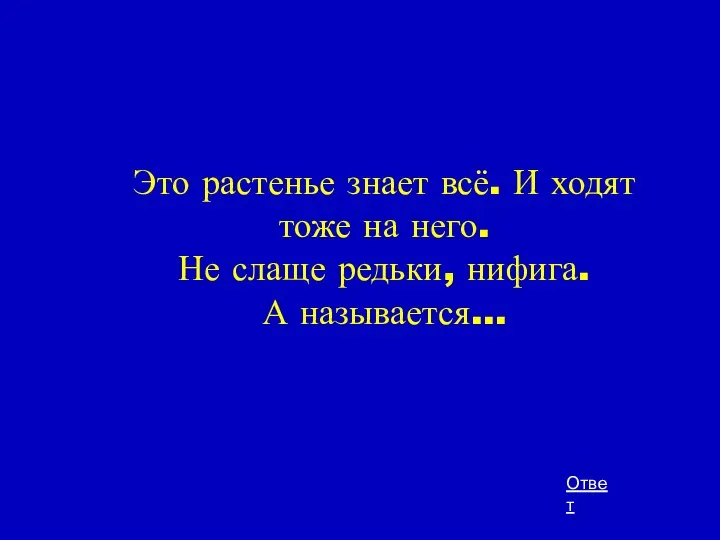 Это растенье знает всё. И ходят тоже на него. Не слаще редьки, нифига. А называется... Ответ