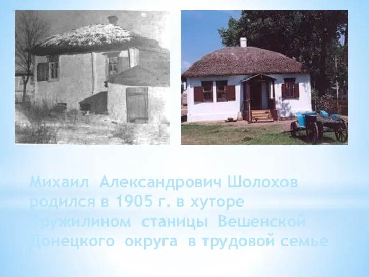 Михаил Александрович Шолохов родился в 1905 г. в хуторе Кружилином станицы
