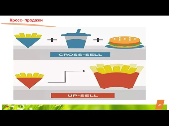 24 Кросс- продажи