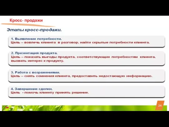 24 Кросс- продажи