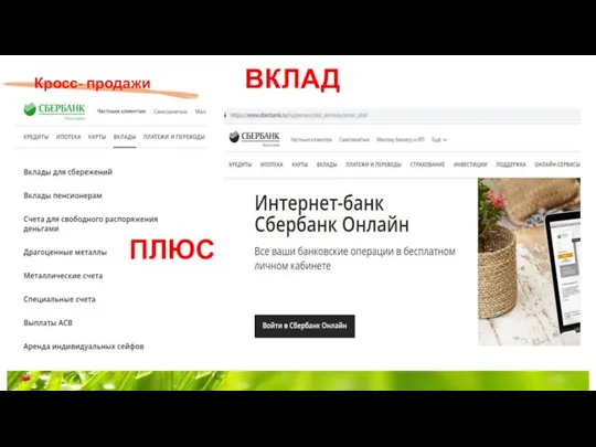 Кросс- продажи ВКЛАД ПЛЮС