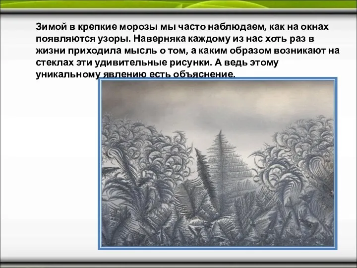 Зимой в крепкие морозы мы часто наблюдаем, как на окнах появляются