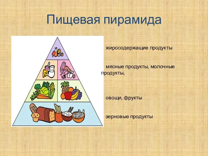 Пищевая пирамида жиросодержащие продукты мясные продукты, молочные продукты, овощи, фрукты зерновые продукты