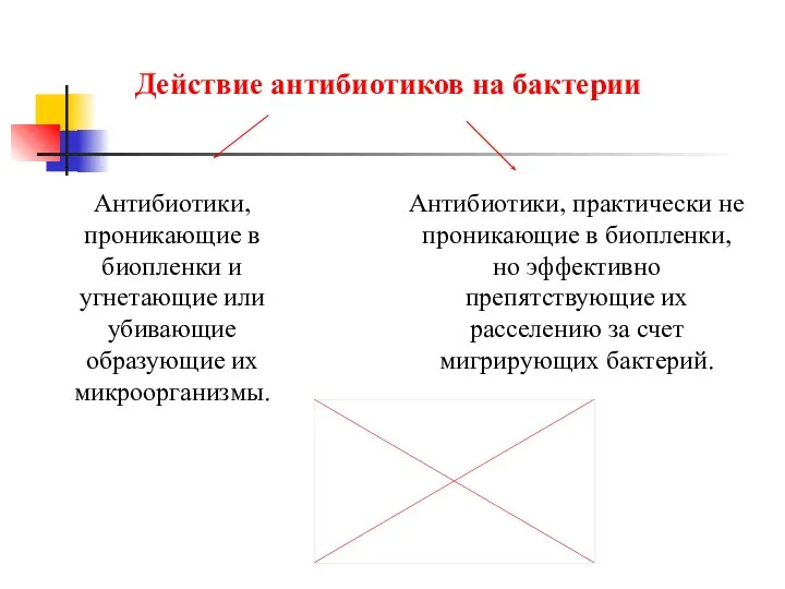 Действие антибиотиков на бактерии Антибиотики, проникающие в биопленки и угнетающие или