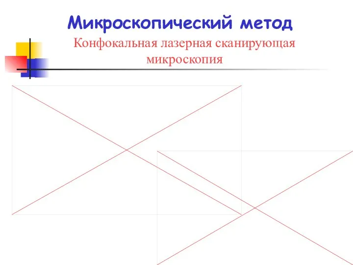 Микроскопический метод Конфокальная лазерная сканирующая микроскопия