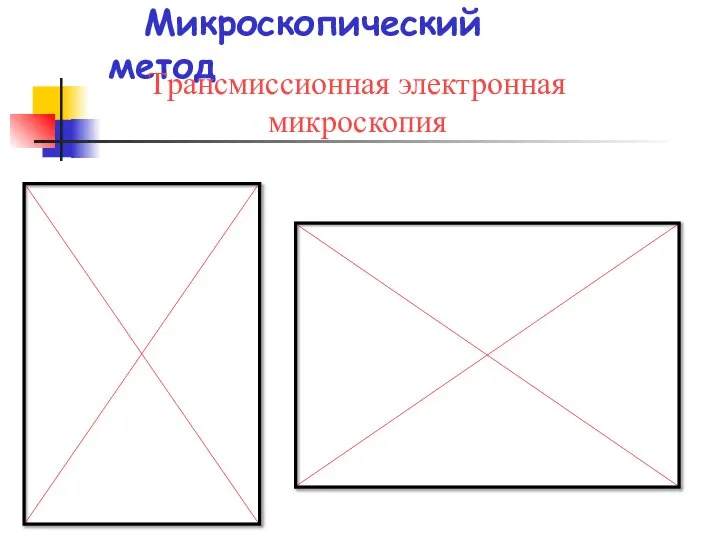 Микроскопический метод Трансмиссионная электронная микроскопия