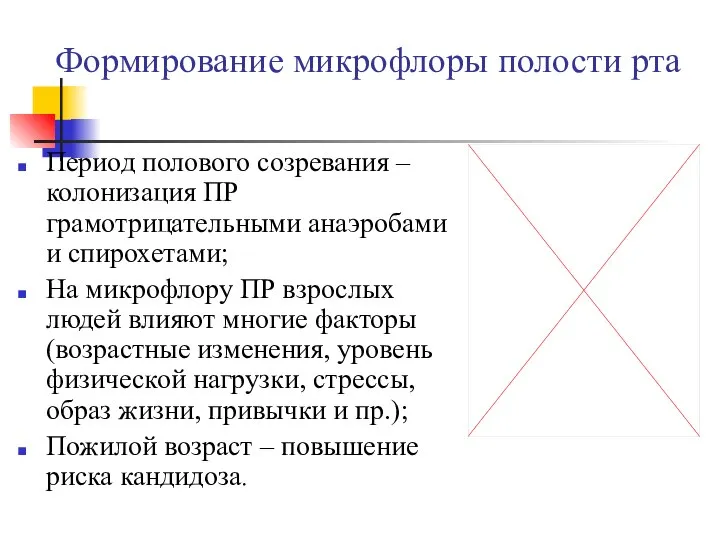 Формирование микрофлоры полости рта Период полового созревания – колонизация ПР грамотрицательными