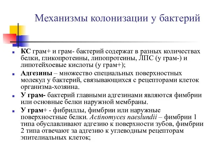 Механизмы колонизации у бактерий КС грам+ и грам- бактерий содержат в