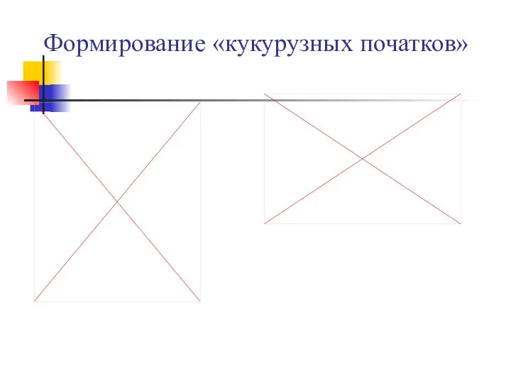 Формирование «кукурузных початков»