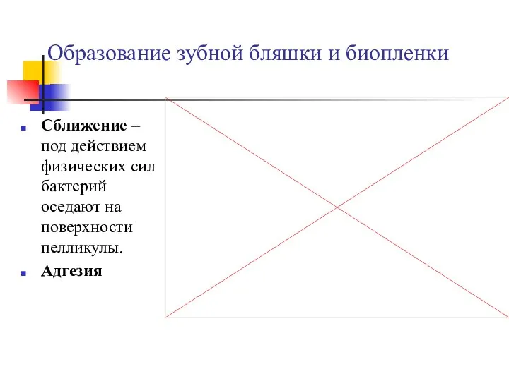 Образование зубной бляшки и биопленки Сближение – под действием физических сил