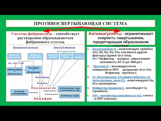 ПРОТИВОСВЕРТЫВАЮЩАЯ СИСТЕМА Система фибринолиза – способствует растворению образовавшегося фибринового сгустка. Антикоагулянты