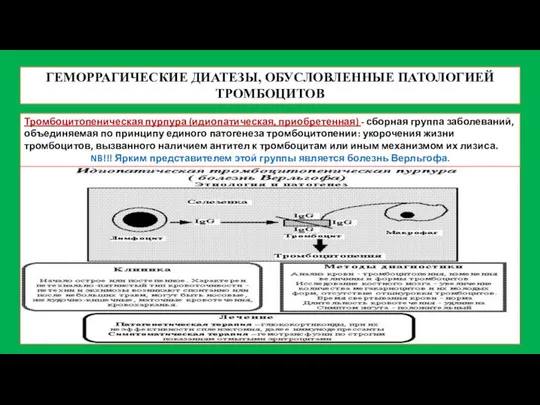 ГЕМОРРАГИЧЕСКИЕ ДИАТЕЗЫ, ОБУСЛОВЛЕННЫЕ ПАТОЛОГИЕЙ ТРОМБОЦИТОВ Тромбоцитопеническая пурпура (идиопатическая, приобретенная) - сборная