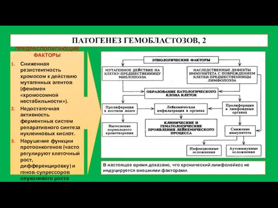 ПАТОГЕНЕЗ ГЕМОБЛАСТОЗОВ, 2 ПРЕДРАСПОЛАГАЮЩИЕ ФАКТОРЫ Сниженная резистентность хромосом к действию мутагенных