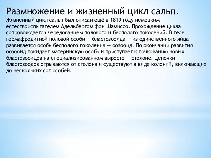 Размножение и жизненный цикл сальп. Жизненный цикл сальп был описан ещё