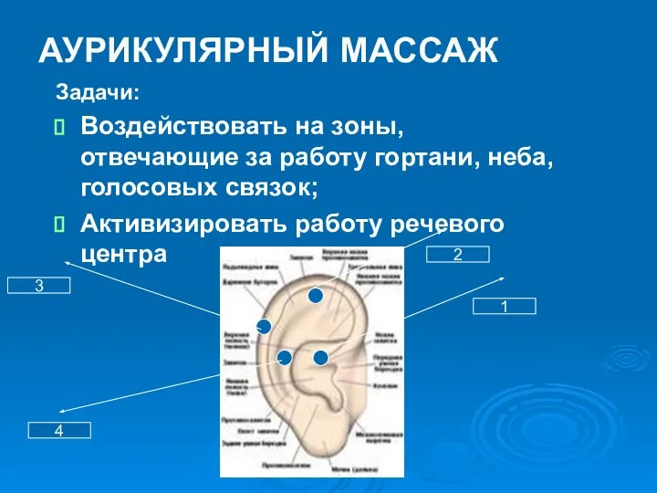 АУРИКУЛЯРНЫЙ МАССАЖ Задачи: Воздействовать на зоны, отвечающие за работу гортани, неба,