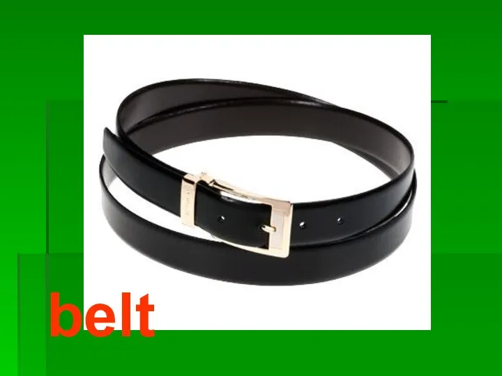 belt