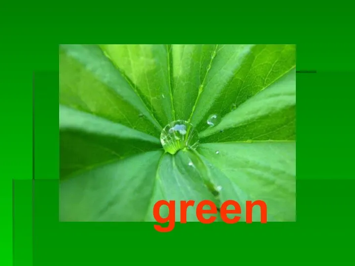 green