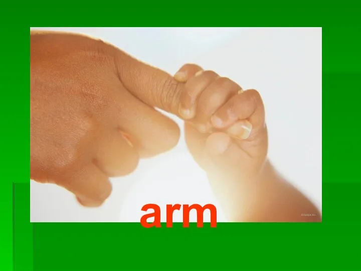 arm