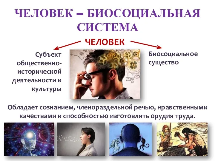 ЧЕЛОВЕК – БИОСОЦИАЛЬНАЯ СИСТЕМА Обладает сознанием, членораздельной речью, нравственными качествами и