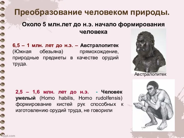 Преобразование человеком природы. Около 5 млн.лет до н.э. начало формирования человека