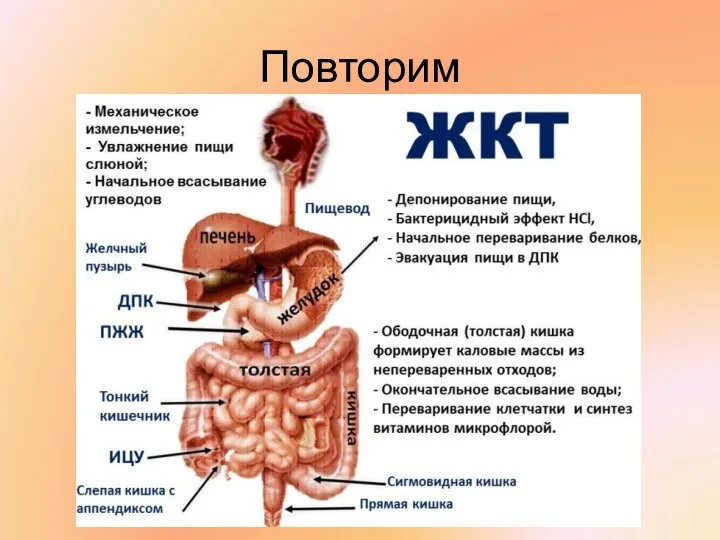 Повторим