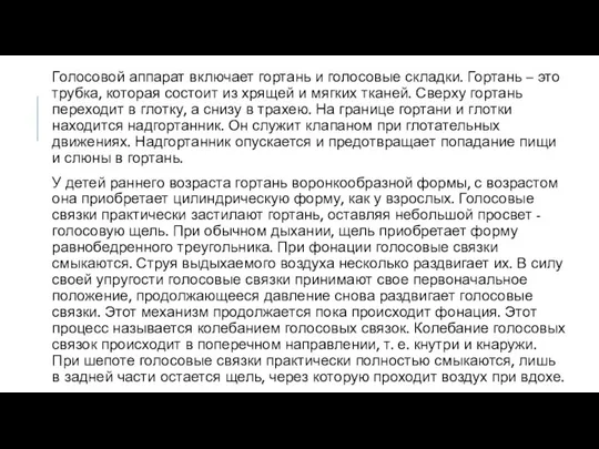 Голосовой аппарат включает гортань и голосовые складки. Гортань – это трубка,