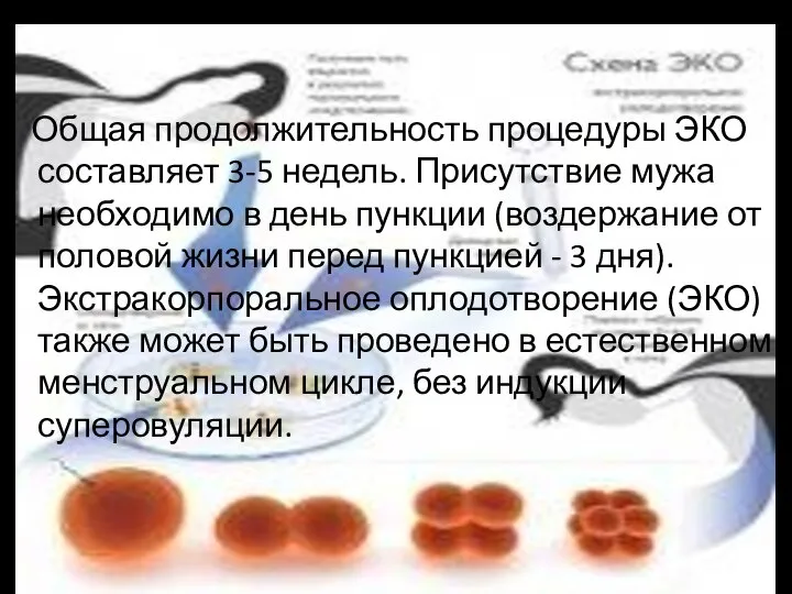 Общая продолжительность процедуры ЭКО составляет 3-5 недель. Присутствие мужа необходимо в