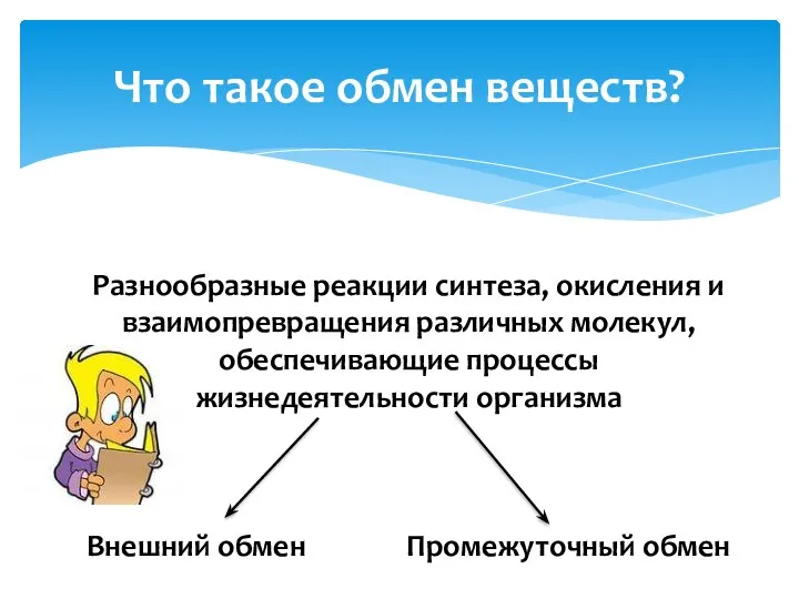 Что такое обмен веществ? Разнообразные реакции синтеза, окисления и взаимопревращения различных