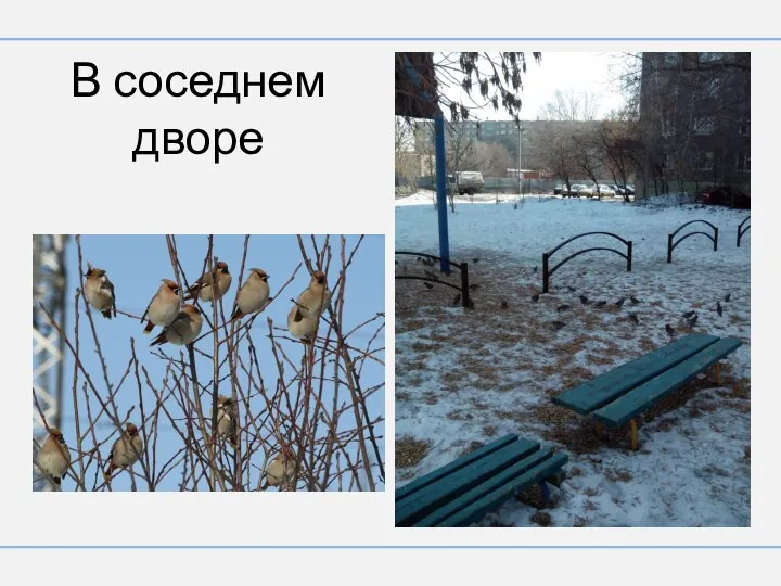 В соседнем дворе