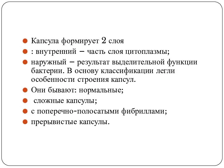 Капсула формирует 2 слоя : внутренний – часть слоя цитоплазмы; наружный