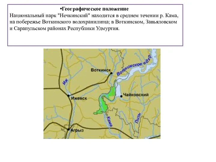 Географическое положение Национальный парк "Нечкинский" находится в среднем течении р. Кама,