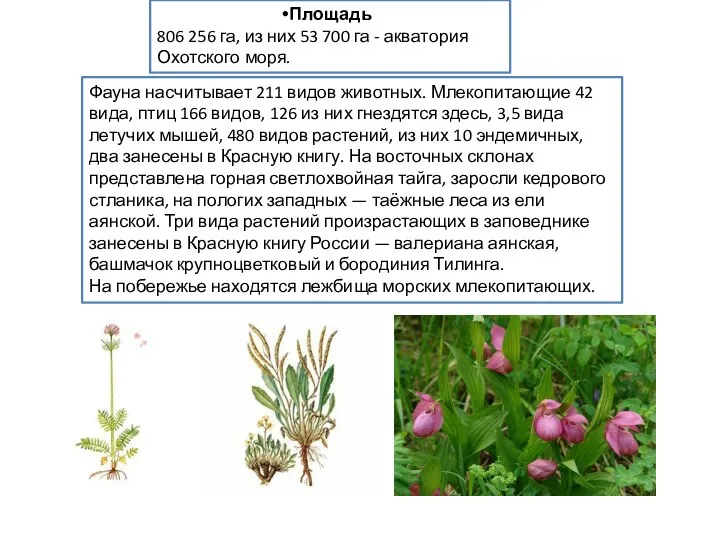 Площадь 806 256 га, из них 53 700 га - акватория