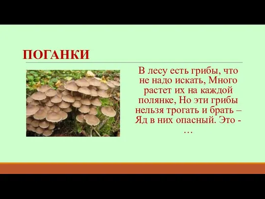 ПОГАНКИ В лесу есть грибы, что не надо искать, Много растет