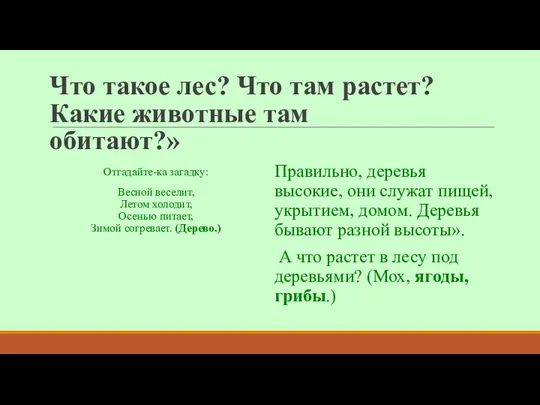 Что такое лес? Что там растет? Какие животные там обитают?» Отгадайте-ка