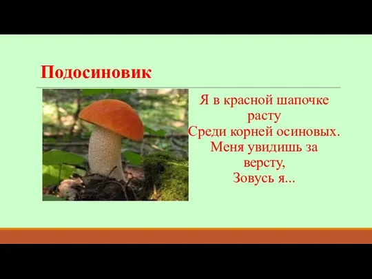 Подосиновик Я в красной шапочке расту Среди корней осиновых. Меня увидишь за версту, Зовусь я...