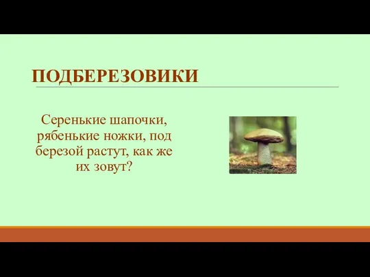 ПОДБЕРЕЗОВИКИ Серенькие шапочки, рябенькие ножки, под березой растут, как же их зовут?