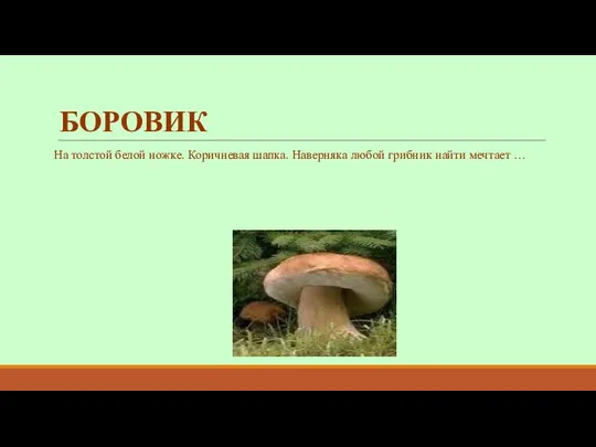 БОРОВИК На толстой белой ножке. Коричневая шапка. Наверняка любой грибник найти мечтает …