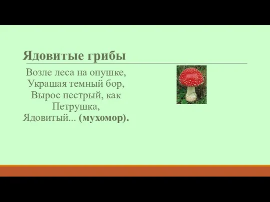 Ядовитые грибы Возле леса на опушке, Украшая темный бор, Вырос пестрый, как Петрушка, Ядовитый... (мухомор).