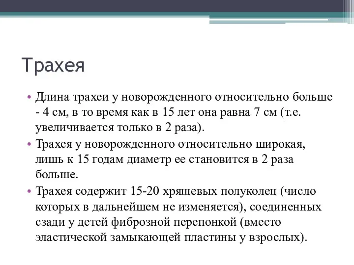 Трахея Длина трахеи у новорожденного относительно больше - 4 см, в