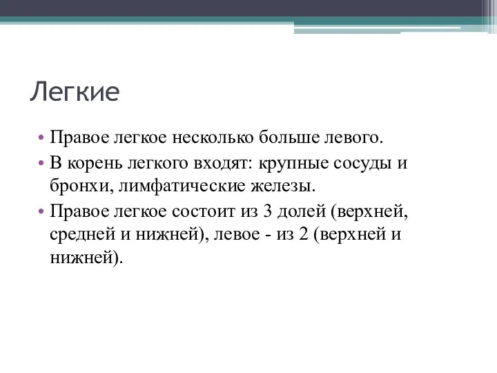 Легкие Правое легкое несколько больше левого. В корень легкого входят: крупные