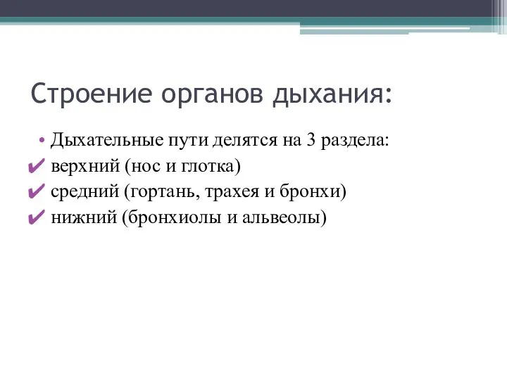 Строение органов дыхания: Дыхательные пути делятся на 3 раздела: верхний (нос