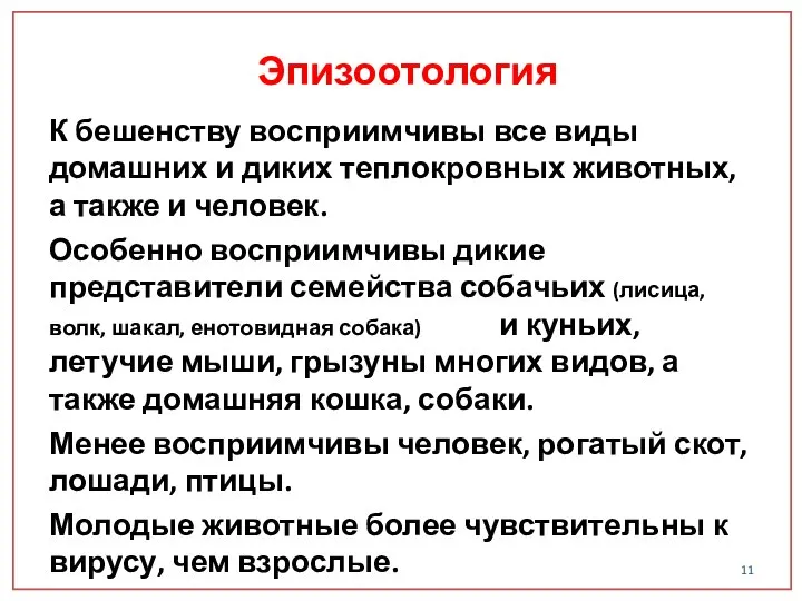 К бешенству восприимчивы все виды домашних и диких теплокровных животных, а