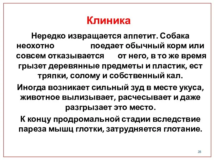 Нередко извращается аппетит. Собака неохотно поедает обычный корм или совсем отказывается