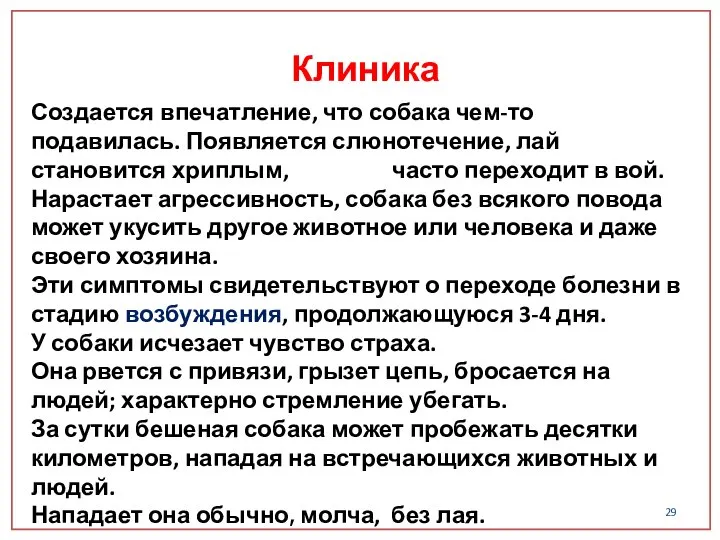 Создается впечатление, что собака чем-то подавилась. Появляется слюнотечение, лай становится хриплым,