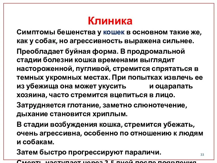 Симптомы бешенства у кошек в основном такие же, как у собак,