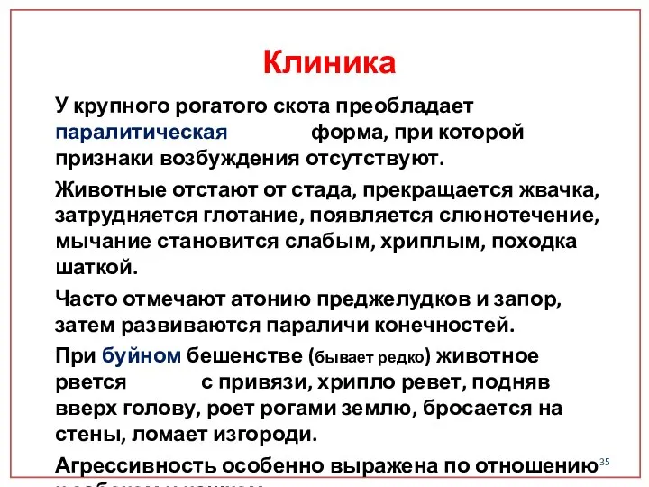 У крупного рогатого скота преобладает паралитическая форма, при которой признаки возбуждения