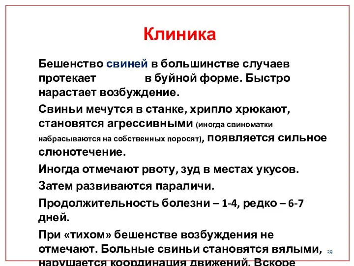 Бешенство свиней в большинстве случаев протекает в буйной форме. Быстро нарастает