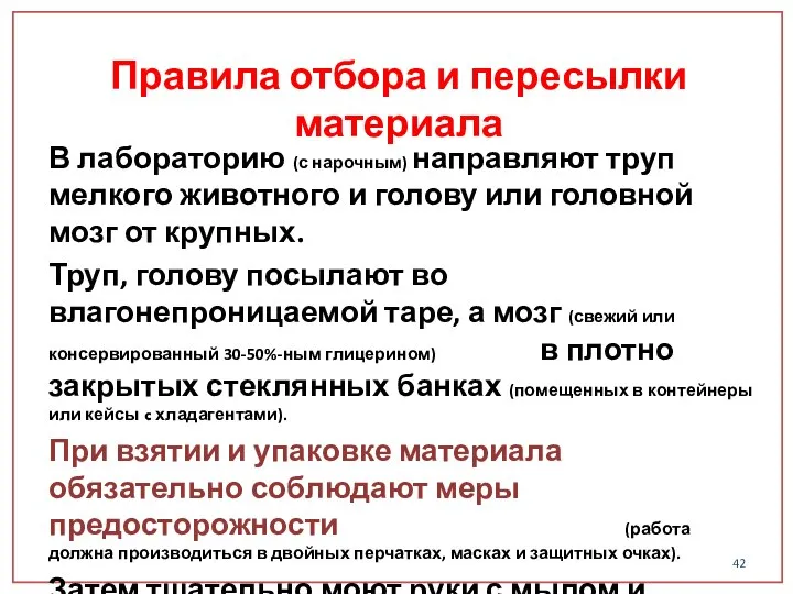 В лабораторию (с нарочным) направляют труп мелкого животного и голову или