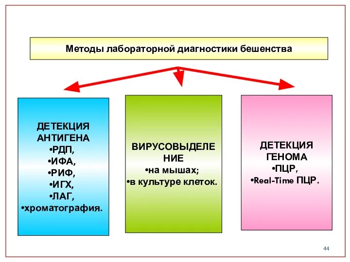 Методы лабораторной диагностики бешенства ДЕТЕКЦИЯ АНТИГЕНА РДП, ИФА, РИФ, ИГХ, ЛАГ,