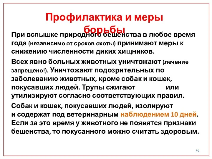 При вспышке природного бешенства в любое время года (независимо от сроков